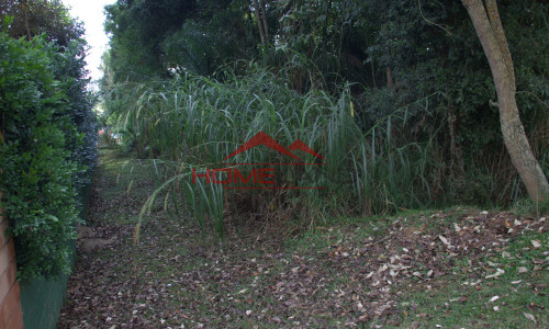 Terreno Plano à Venda